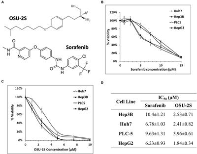 OSU-2S/Sorafenib Synergistic Antitumor Combination against Hepatocellular Carcinoma: The Role of PKCδ/p53